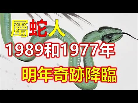 1989年 蛇 五行|1989年的屬蛇人是什麼命？什麼年齡開始享福？特別。